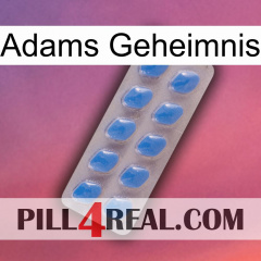Adams Secret 22